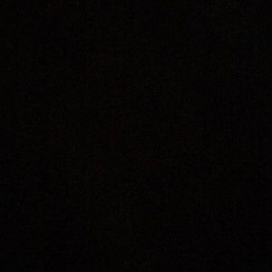 Meet your Posher, Wyatt